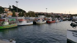 porto-fishing-boats