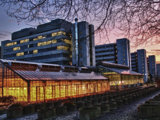 University of Bielefeld, Germany