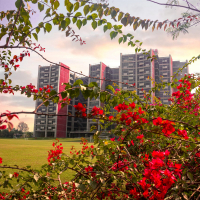 United International University, Bangladesh